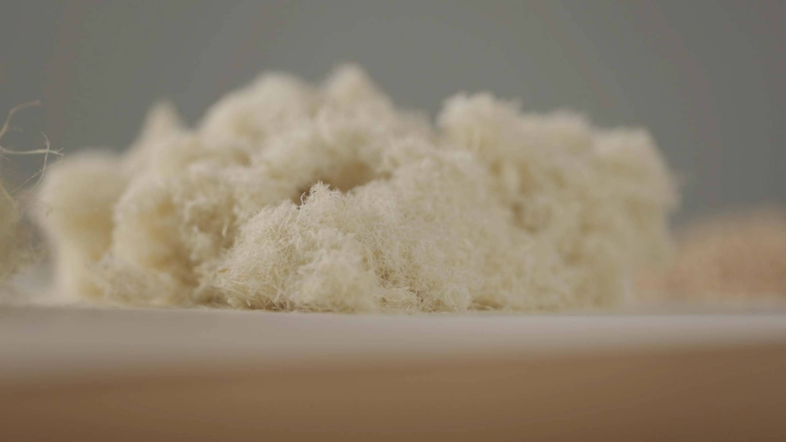 Trifilon_Fiber