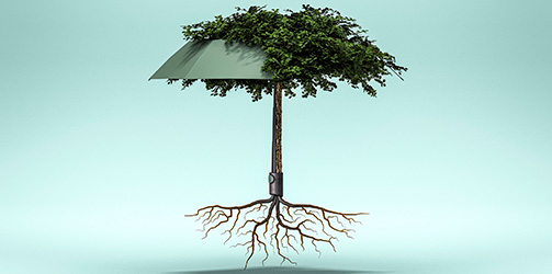 Nachhaltige Regenschirme - banner